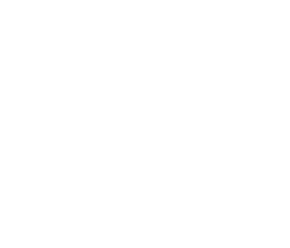 Formula 216